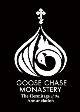 goose chase