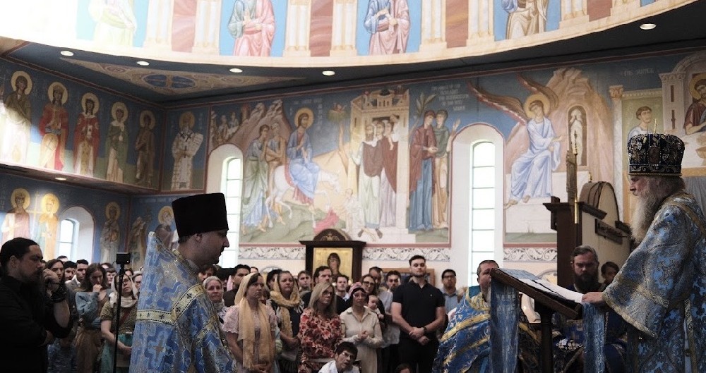 abp dmitri